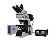 研究级荧光显微镜MF43LED用于植物荧光蛋白研究