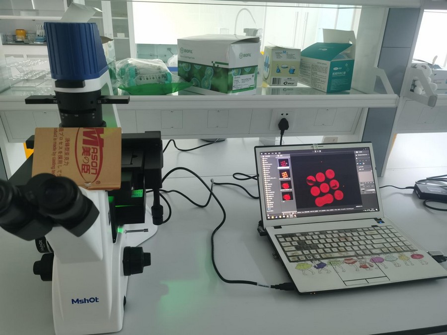倒置荧光显微镜应用于生物芯片观察|应用百科