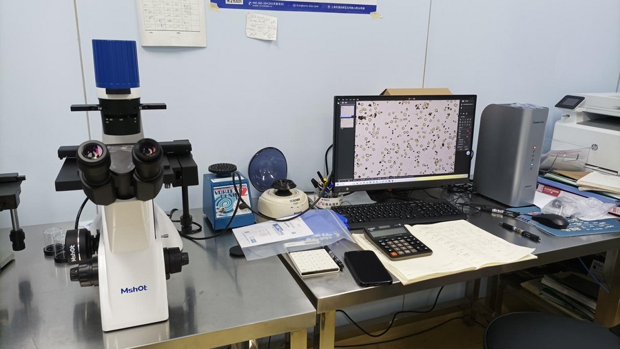 倒置显微镜应用于T细胞观察|应用百科