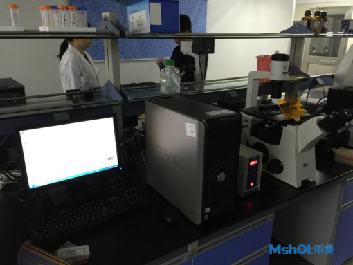 明美研究级倒置荧光显微镜MF53搭配研究级显微数字相机MSX2用于实验室筛选