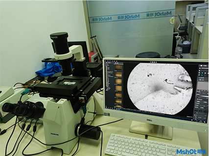 斑马鱼自动扫描荧光成像系统