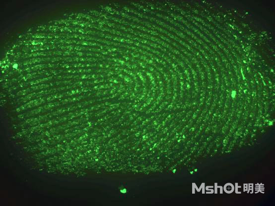 明美自主研发科研级显微镜相机对指纹的识别研究