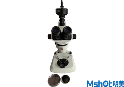 体视显微镜MZ62
