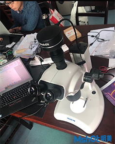 看植物花粉，叶尖等形貌用什么显微镜及CCD相机

