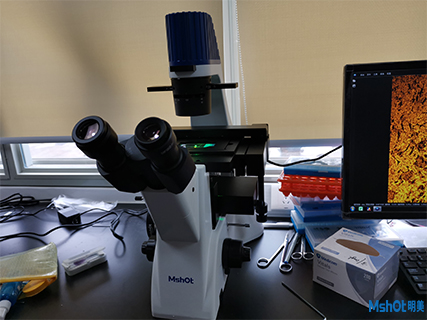 明美荧光显微镜应用于广州医科大学呼吸道检测