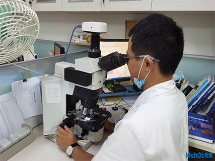 明美显微镜荧光模块助力南昌大学一附属医院免疫荧光观察