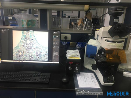 明美荧光显微镜应用于学校实验室