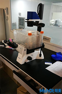 明美倒置显微镜用于10层细胞培养皿观察