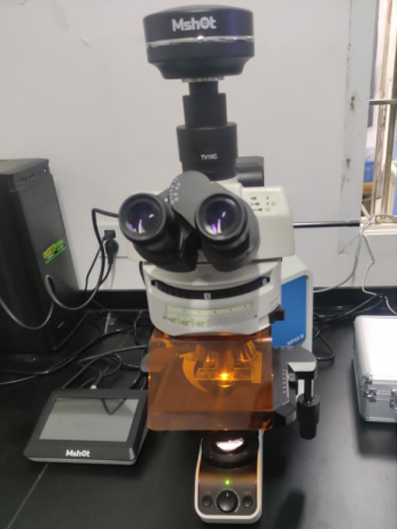 荧光显微镜MF43-N搭配显微镜相机、触摸屏宽光谱大功率LED光源观察藻类
