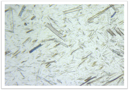 金相显微镜观察纸张纤维原料