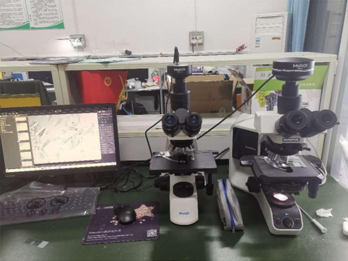 明美显微镜用于观察单极虫