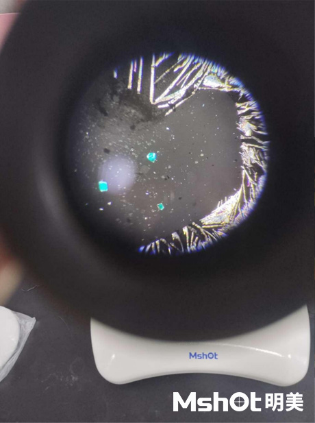 体视偏光显微镜用于化学晶体观察