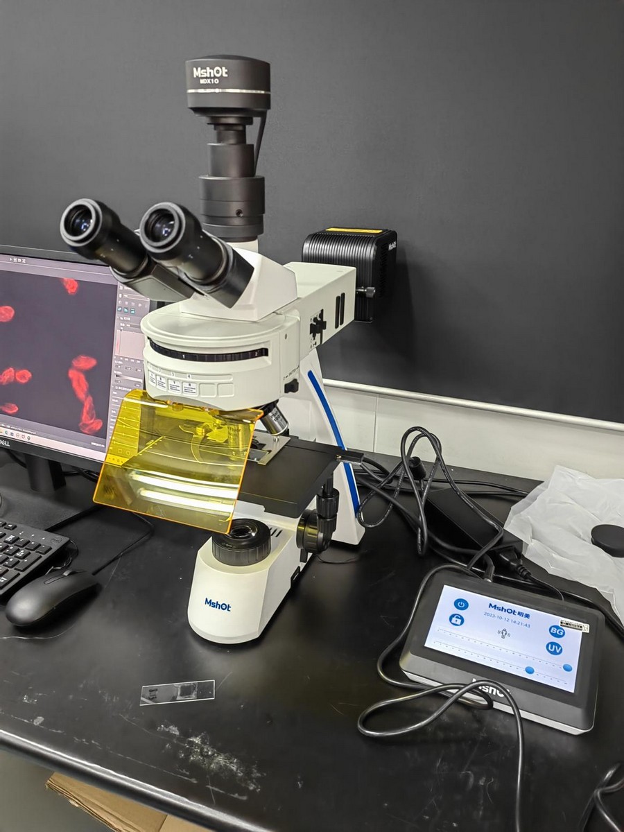 荧光生物显微镜应用于CTC检测|应用百科