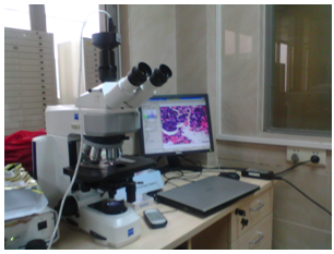 实拍设备图片（MD50+蔡司显微镜+病理报告系统）