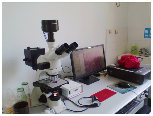 实拍设备图片（MC20+徕卡 DM1000 生物荧光显微镜）